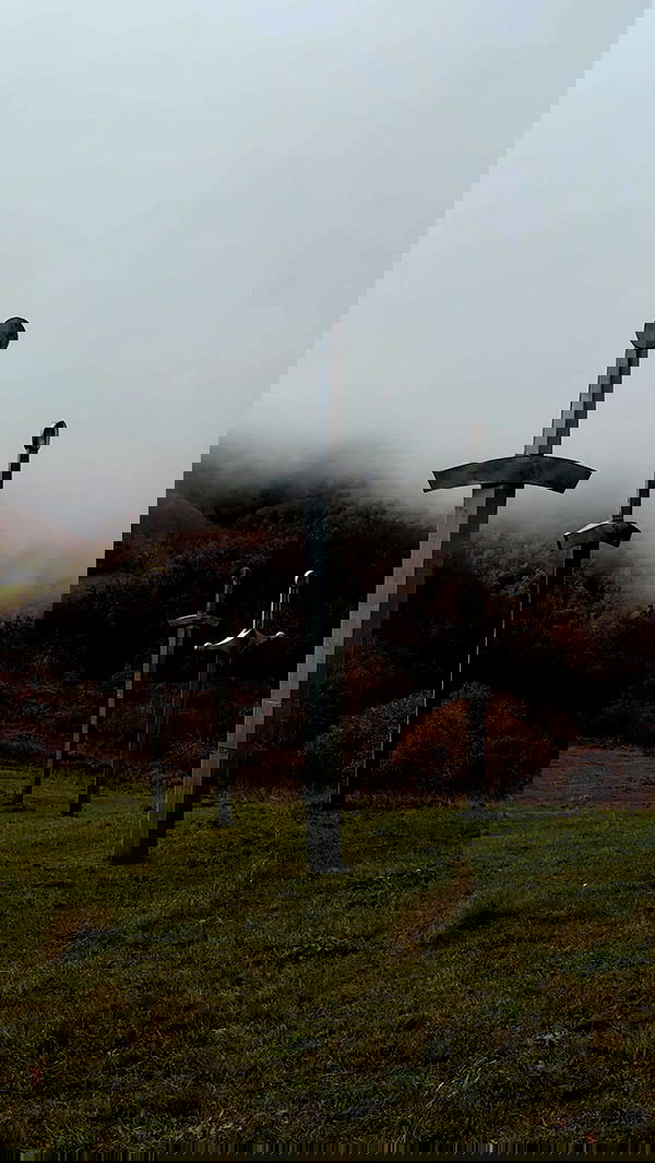 ayguldavlletova image ~ Altpins