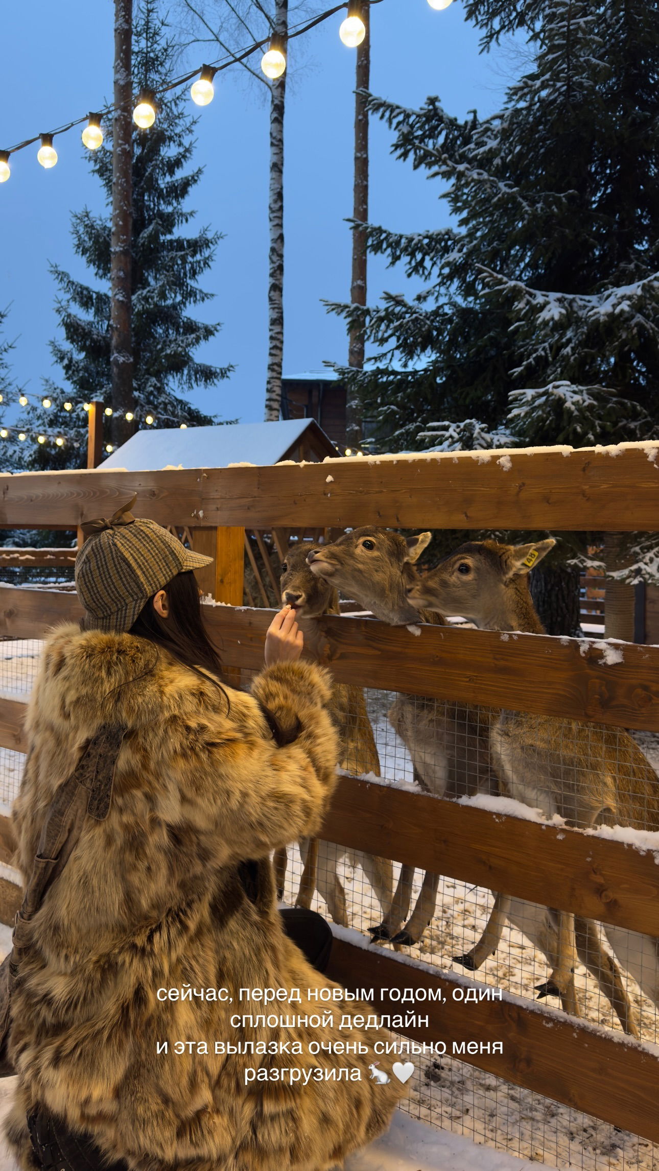 ayguldavlletova instagram image archive image