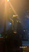 b6bybat Altpins Profile Picture