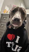 b6ylexx Altpins Profile Picture