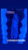 babebellalynnx Altpins Profile Picture