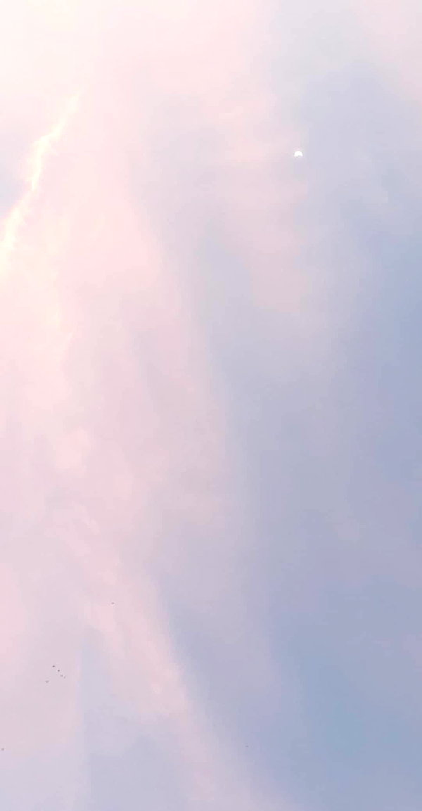 babyyygorilla babyyygorilla archive image