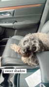 bailey__rain Altpins Profile Picture
