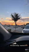 bailey__rain Altpins Profile Picture