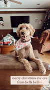 bailey__rain Altpins Profile Picture
