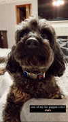 bailey__rain Altpins Profile Picture