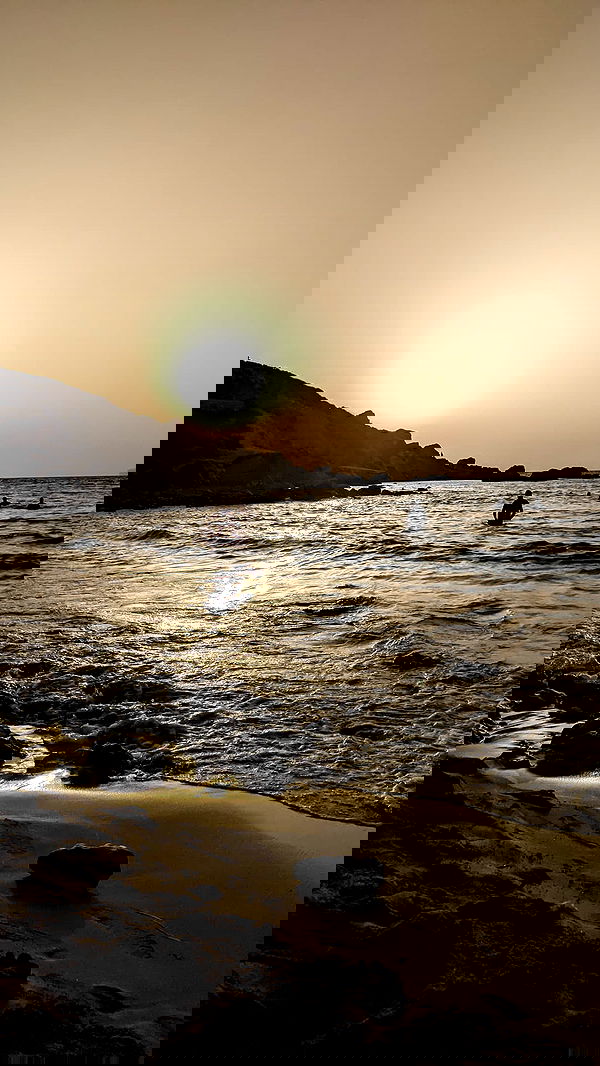 bakedsloths bakedsloths archive image