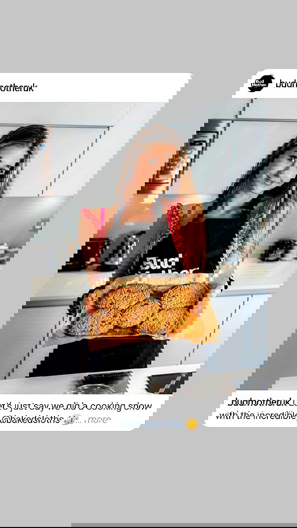 bakedsloths bakedsloths archive image