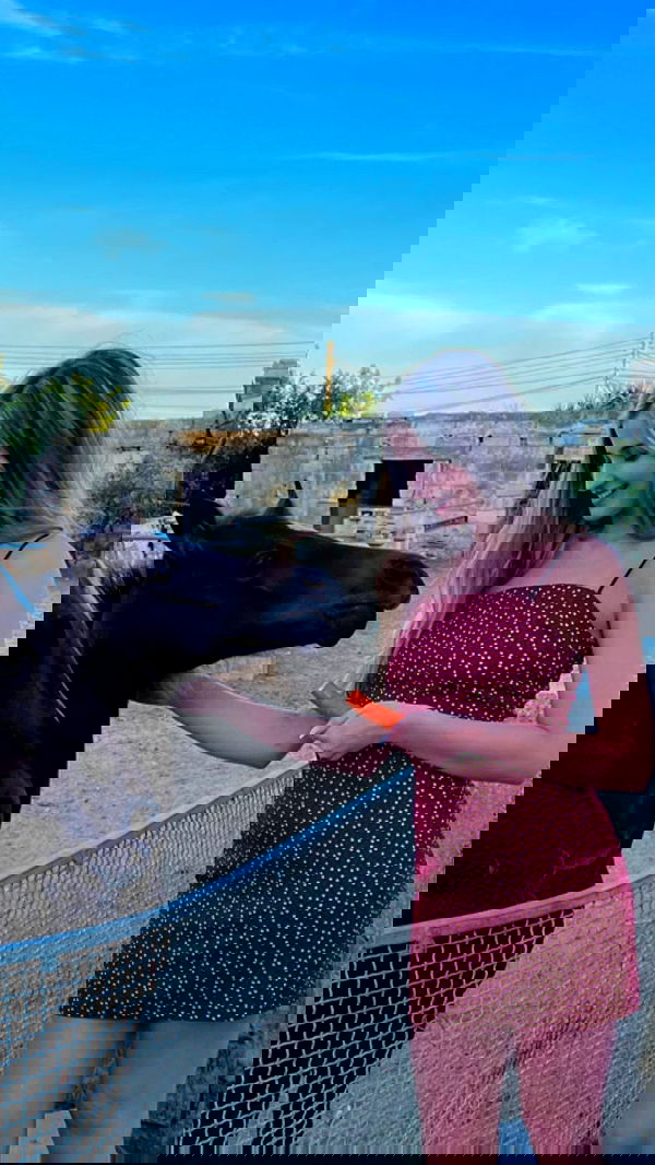 bakedsloths bakedsloths archive image