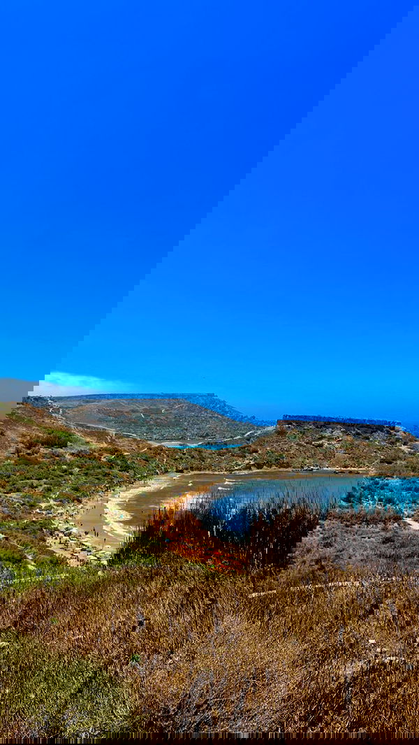 bakedsloths bakedsloths archive image