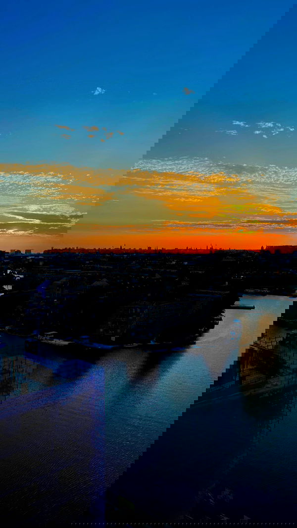 bakedsloths bakedsloths archive image