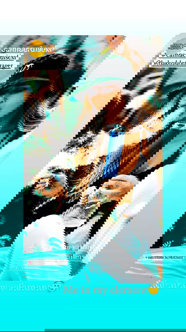 bakedsloths bakedsloths archive image