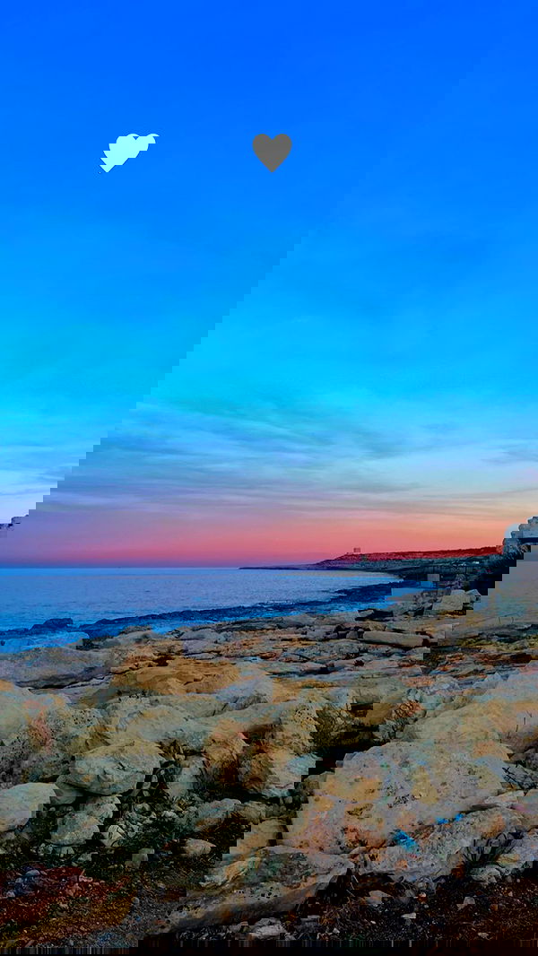 bakedsloths bakedsloths archive image