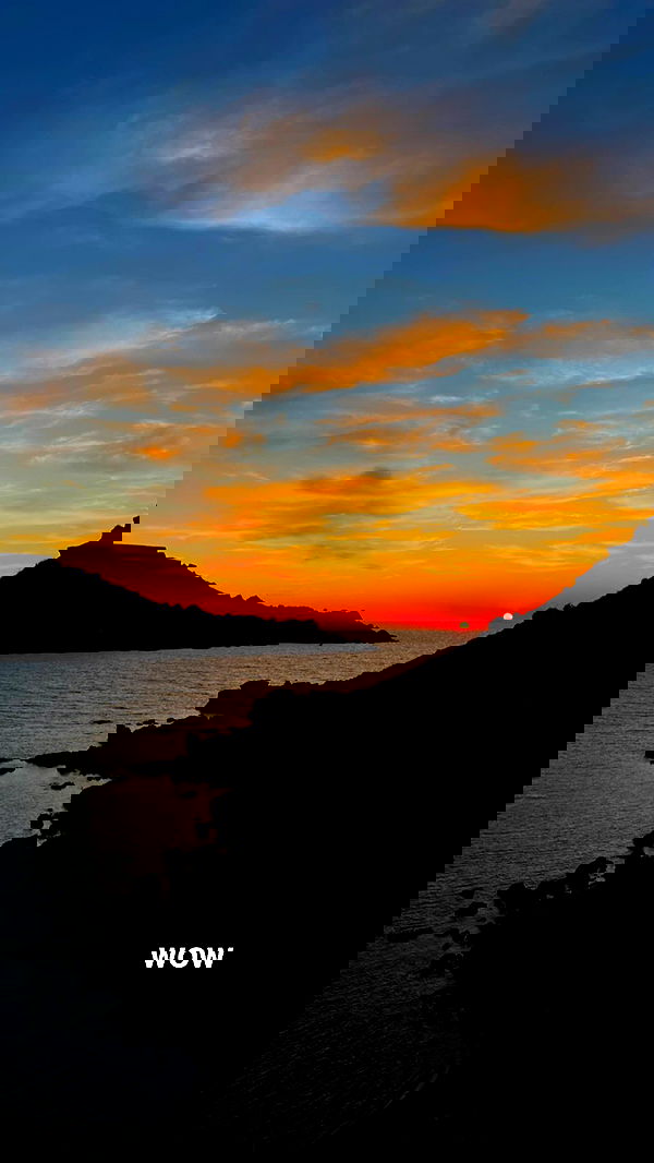 bakedsloths bakedsloths archive image