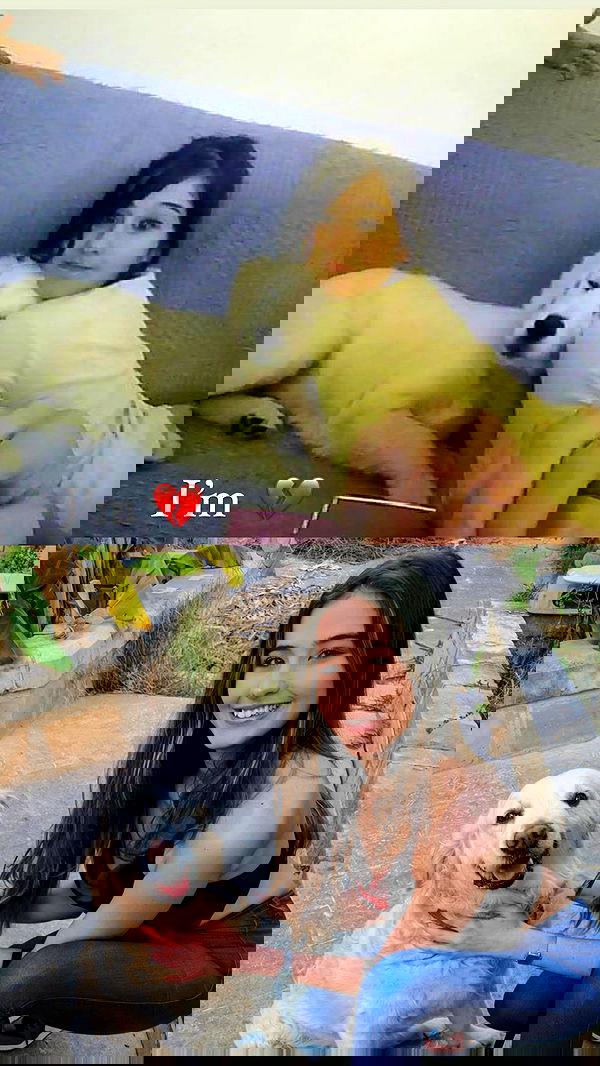 bakedsloths bakedsloths archive image