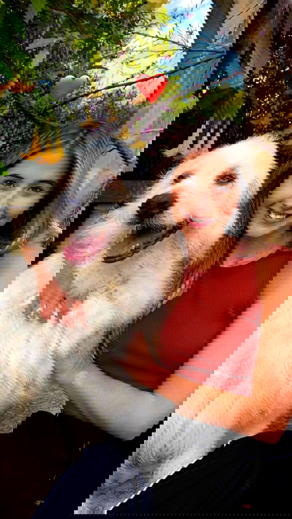 bakedsloths bakedsloths archive image