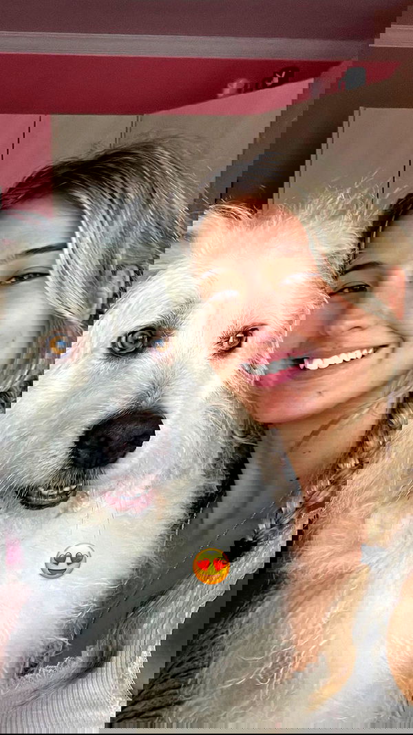 bakedsloths bakedsloths archive image