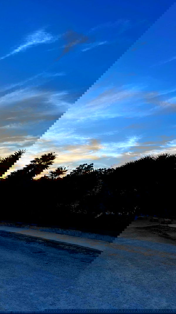 bakedsloths bakedsloths archive image