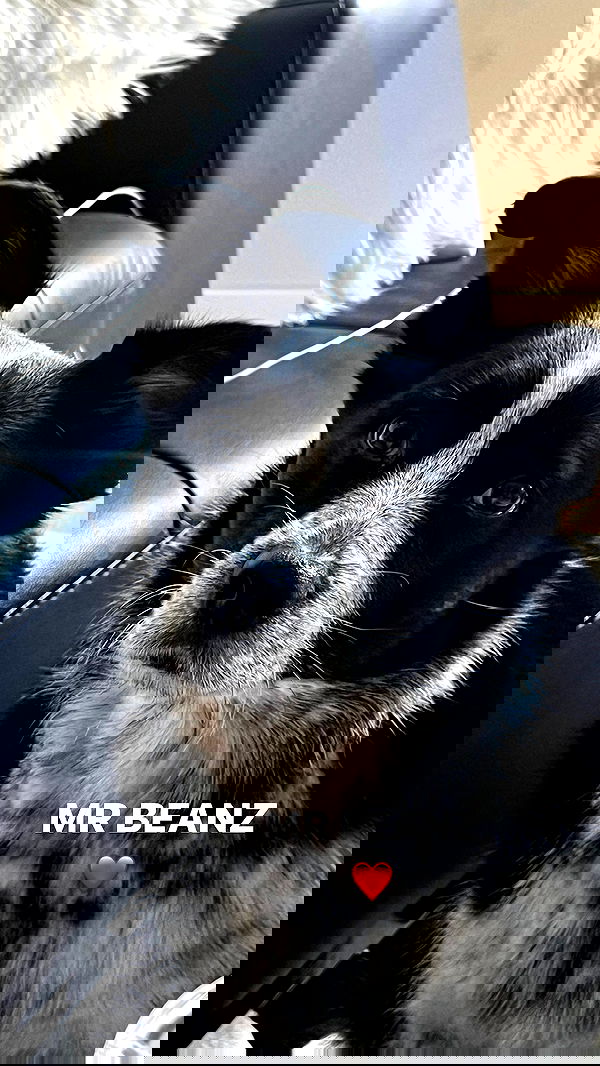 bakedsloths bakedsloths archive image