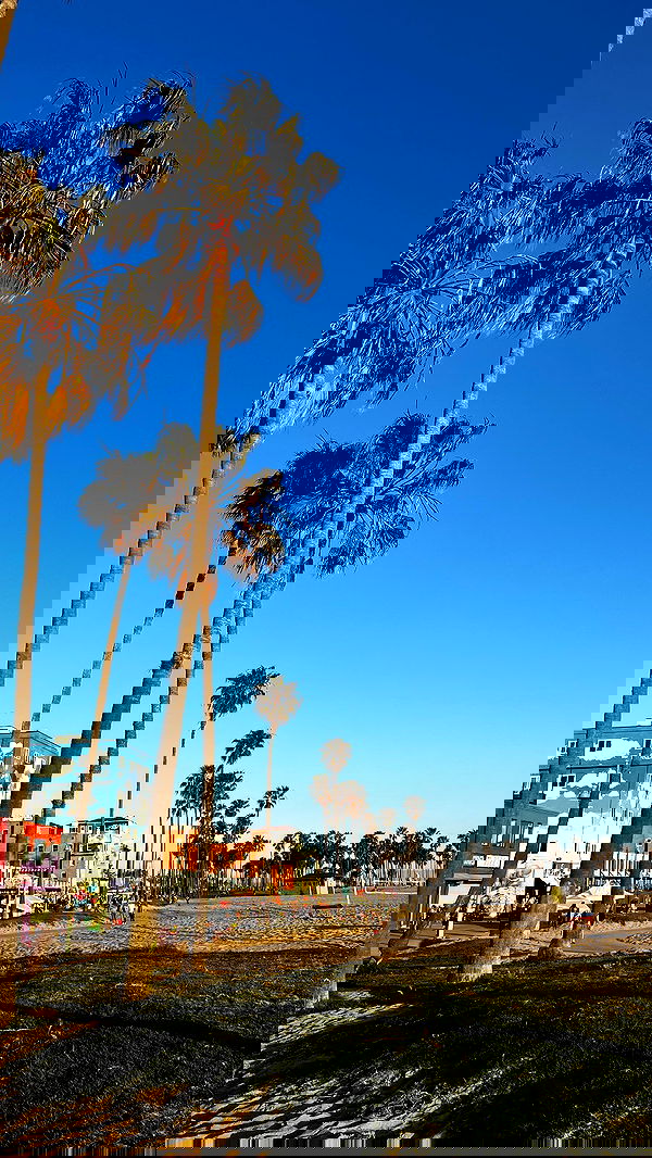 bakedsloths bakedsloths archive image