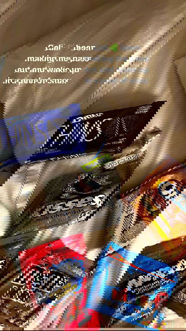 bakedsloths bakedsloths archive image