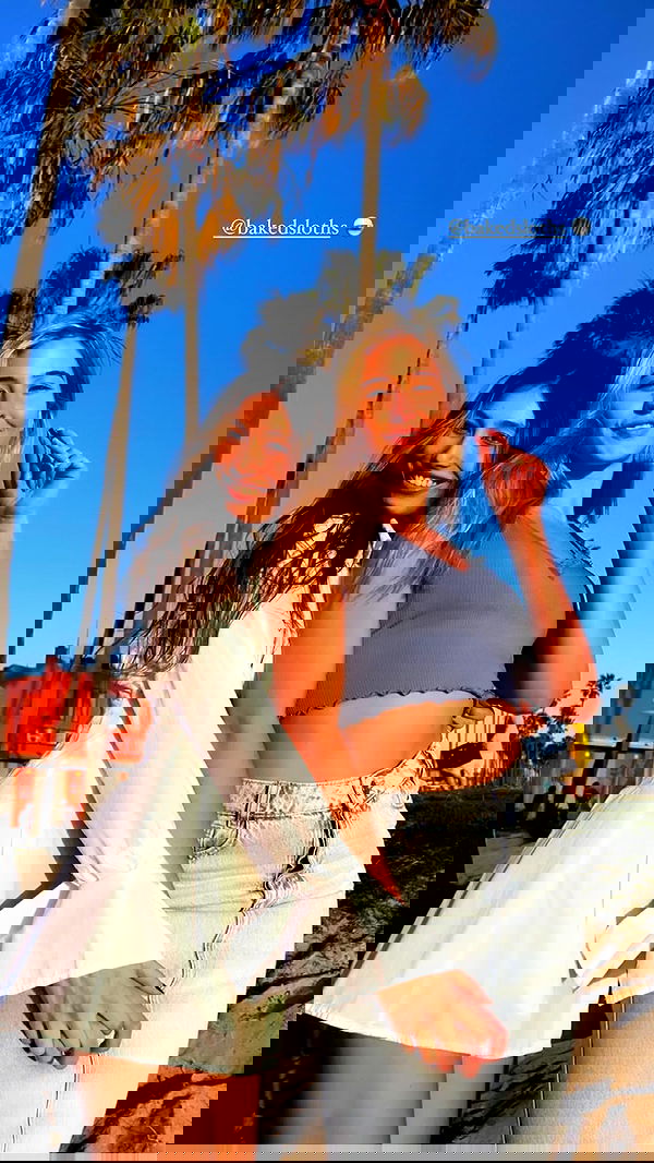 bakedsloths bakedsloths archive image