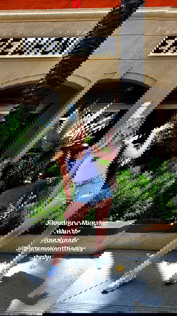 bakedsloths bakedsloths archive image