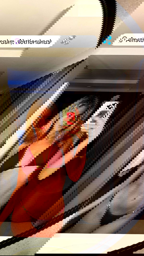 bakedsloths bakedsloths archive image