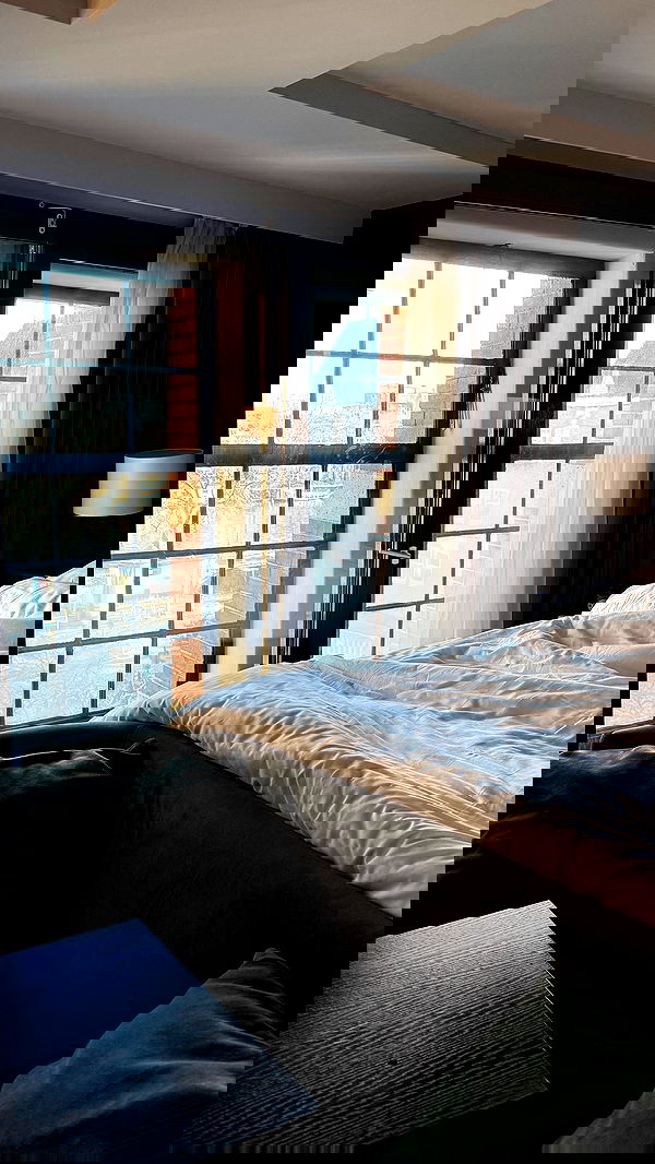 bakedsloths bakedsloths archive image