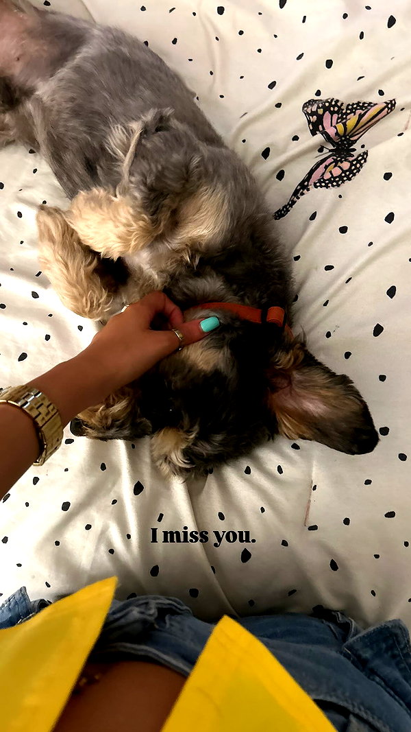 barbararamirezz_ instagram image archive image