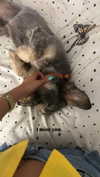 barbararamirezz_ Altpins Profile Picture