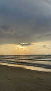 bartsy.tim Altpins Profile Picture