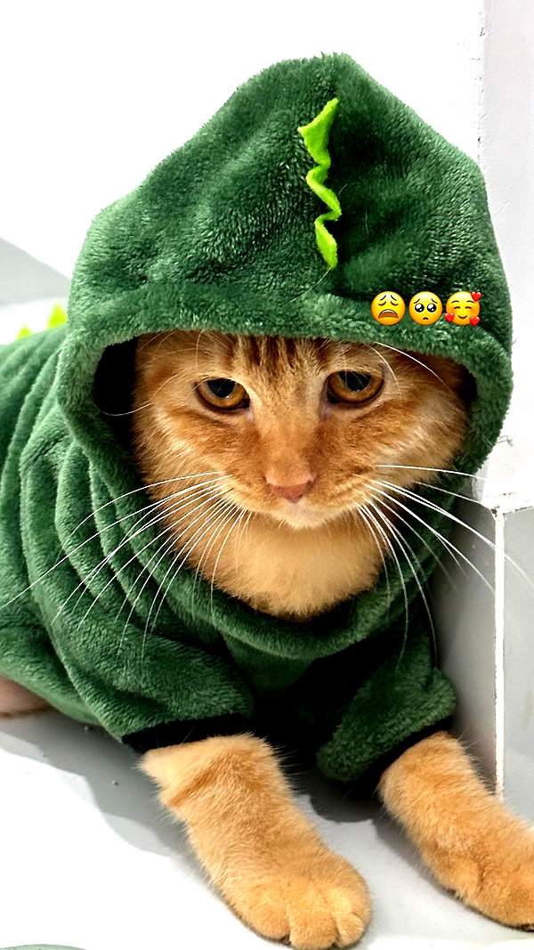 bbydannn instagram image archive image