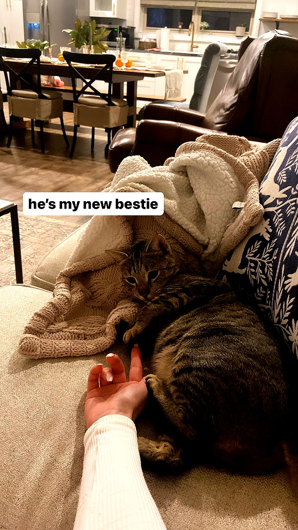 bekaemilia instagram image archive image