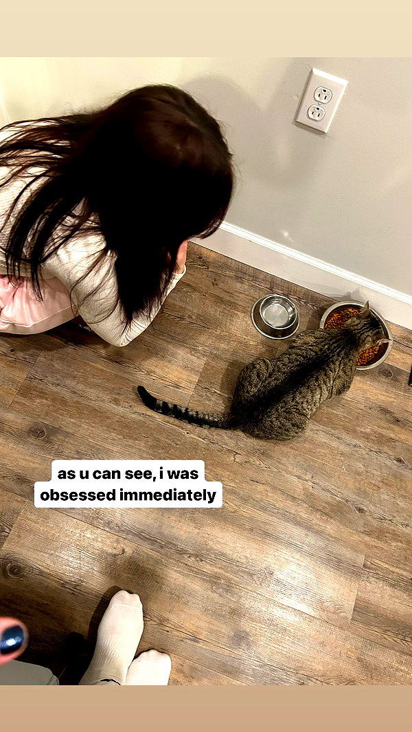 bekaemilia instagram image archive image