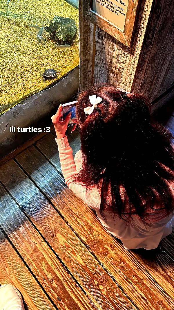 bekaemilia instagram image archive image