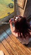 bekaemilia Altpins Profile Picture