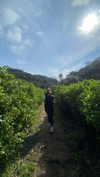 bella.mccafferty Altpins Profile Picture