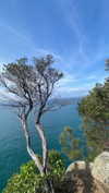bella.mccafferty Altpins Profile Picture
