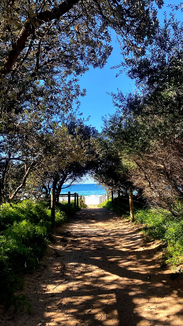 bella.mccafferty instagram image archive image