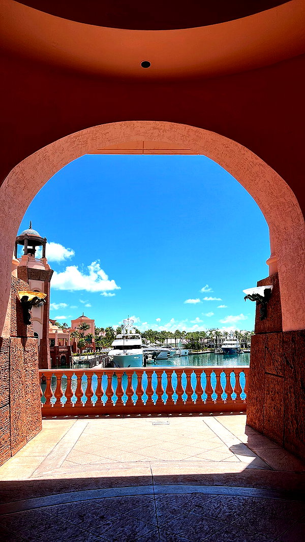 bellarenaldi instagram image archive image