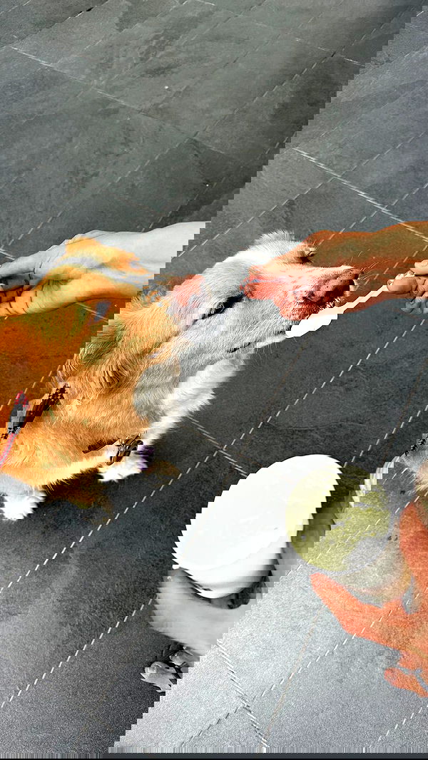 biton__adi biton__adi archive image