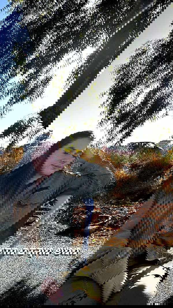 biton__adi biton__adi archive image