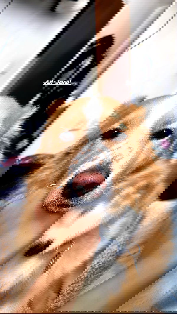 biton__adi biton__adi archive image