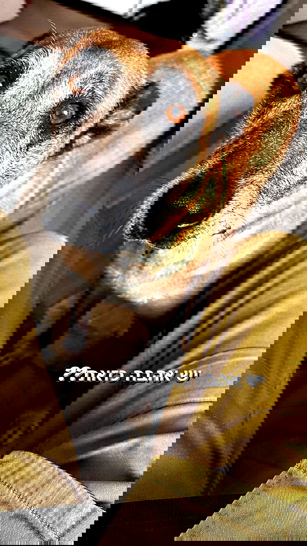 biton__adi biton__adi archive image