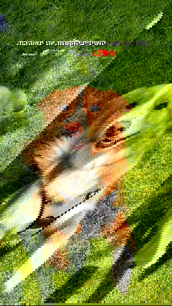 biton__adi biton__adi archive image