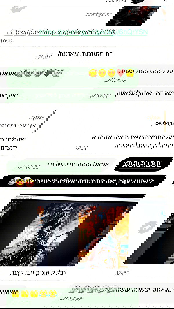 biton__adi biton__adi archive image