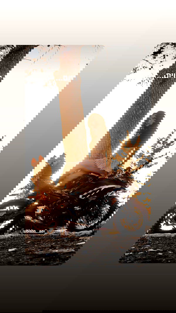 biton__adi biton__adi archive image