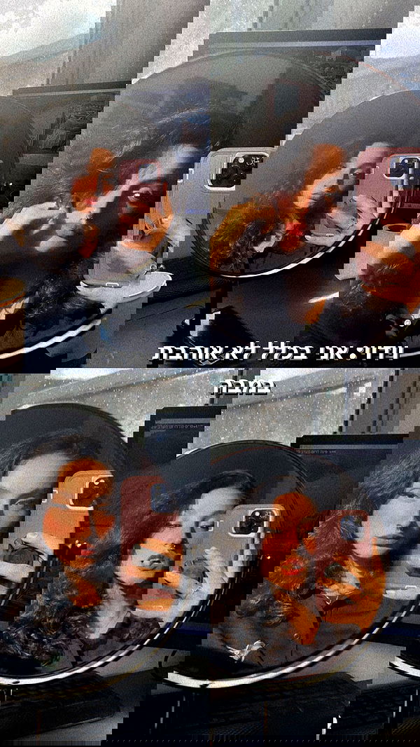 biton__adi biton__adi archive image