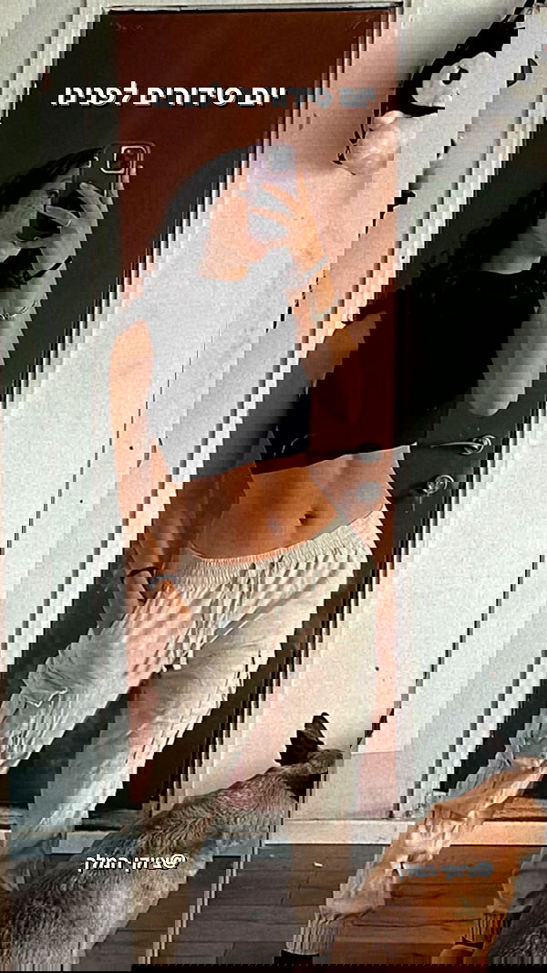 biton__adi biton__adi archive image